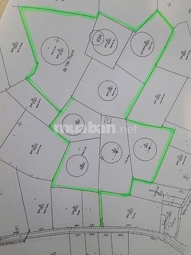 Cần bán gấp đất rẫy đang trồng mãng cầu làm trái
