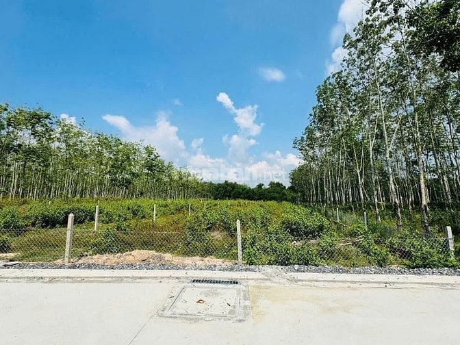Bán Đất xã Phú Mỹ Hưng-Củ Chi*DT:1600m² (có 110m² thổ cư) Giá 10 tỷ
