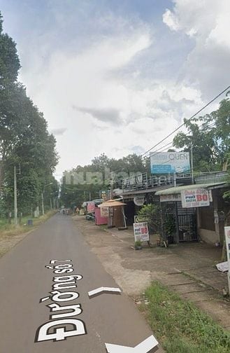 Cho thuê dài hạn đất trống chính chủ ở Long Khánh Đồng Nai 