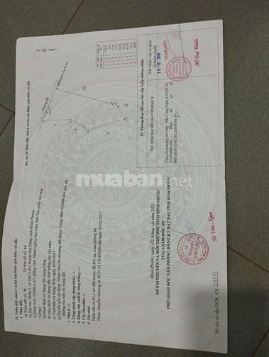 Cần tiền làm ăn bán gấp trong tháng 8