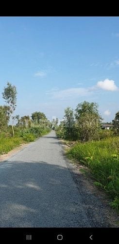 Bán 586m thổ cư mặt tiền đường 8 Kênh Đông Xã Tân Lập 2 Tân Phước