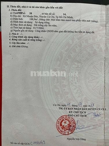 Nhà vườn xinh mặt tiền phố chính
