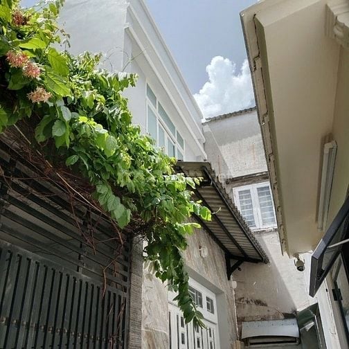 Bán nhà đường Phạm Văn Bạch, p 15, quận Tân Bình