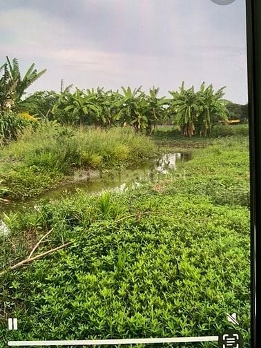 Bán đất mặt tiền đường Ba Chả xã Hưng Long huyện bình Chánh 