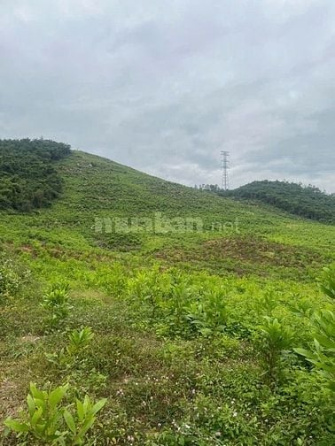 69.000đ/m2 bán đất làm vườn 10hecta Ninh Sơn, Tx Ninh Hoà, Khánh Hoà