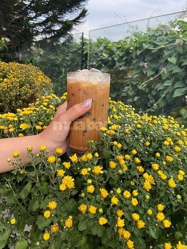 VIỆC LÀM FULLTIME/PARTIME TẠI PHÚ NHUẬN