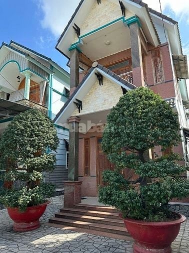 CẦN BÁN GẤP CẶP CHẬU CÂY SẢNH 