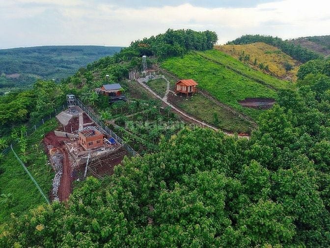 VƯỜN NGHỈ DƯỠNG LA NGÀ VIEW HỒ TRỊ AN, GẦN QL20 CHỈ 1,05 TỶ TRỌN SỔ