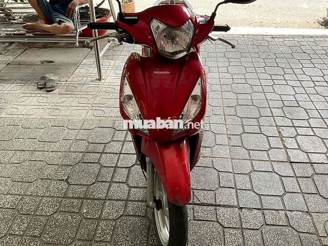 bán vison zin chính chủ