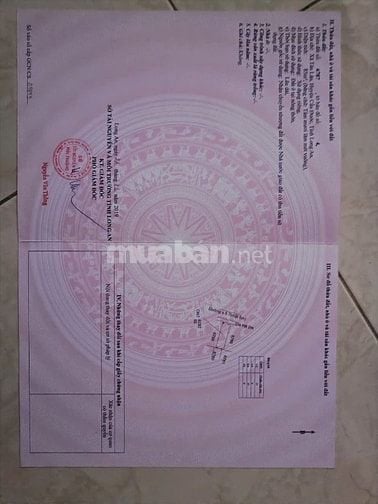 Đất nền vị trí đẹp Cần Đước Long An 