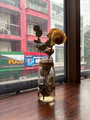 Việc làm sinh viên khu vực Thủ Đức - Bình Thạnh 