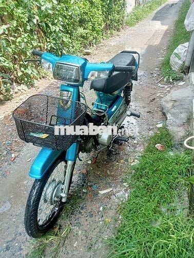 Em drem dọn kiểng cho ae chs