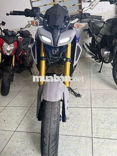 MT 15.. ký giấy trong ngày