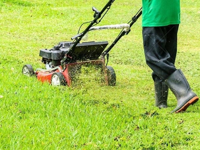 Bảo dưỡng cảnh quan định kỳ – Giữ mãi vẻ đẹp xanh cho công trình