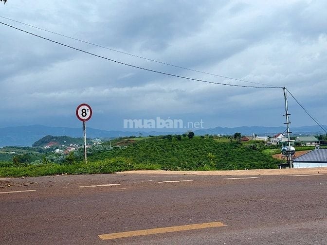 Đất mặt tiền đường nhựa 690 triệu, nằm chính giữa Đà Lạt & Sân bay