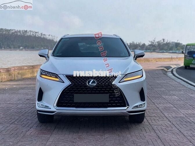 Bán Lexus RX300 2022 màu trắng