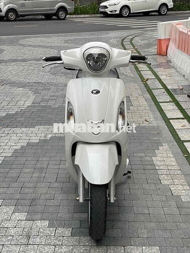like 50cc không cần bằng lái