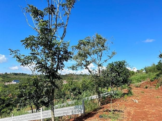 Bán 711m2 đất ven Đà Lạt, view toàn cảnh thị trấn, sẵn 244m2 ODT
