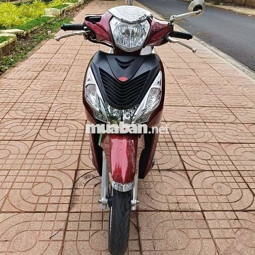 Bán vison chuẩn 2020 chính chủ phố