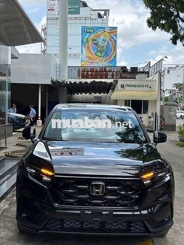 CRV L AWD - Chỉ Từ 1 Tỷ 250