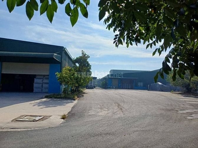 Cho thuê nhà xưởng Quốc Lộ 1A ,Bình Tân, diện tích lớn, vị trí đắc địa