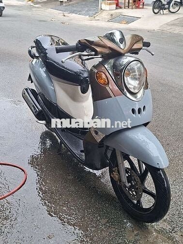 Mio classico giấy tờ đầy đủ