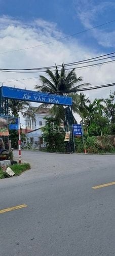 CẦN BÁN ĐẤT TRỒNG CÂY LÂU NĂM - VUÔNG VỨC - CÁCH TRƯỜNG BÌNH MỸ2- 200m
