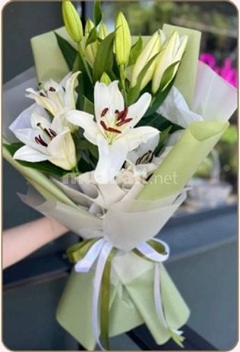Hoa Huệ Trắng – Món Quà Thanh Lịch Cho Mẹ Và Người Thân