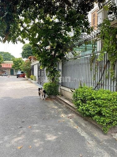 Cho thuê biệt thự liền kề full nội thất tại KĐT mới Trung Văn – Tố Hữu