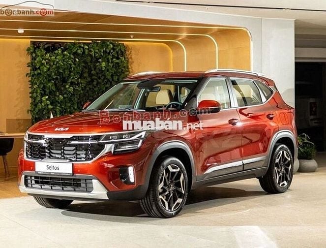 Kia Seltos Premium 1.5 AT 2025 - 709 Triệu