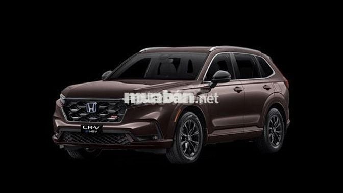 Honda CRV Rs với lãi suất siêu ưu đãi chỉ 6,8%