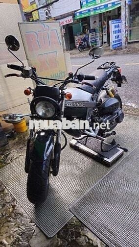 SUZUKI MAGIC II tay ga,Cub,Chaly,Win,cafe racer