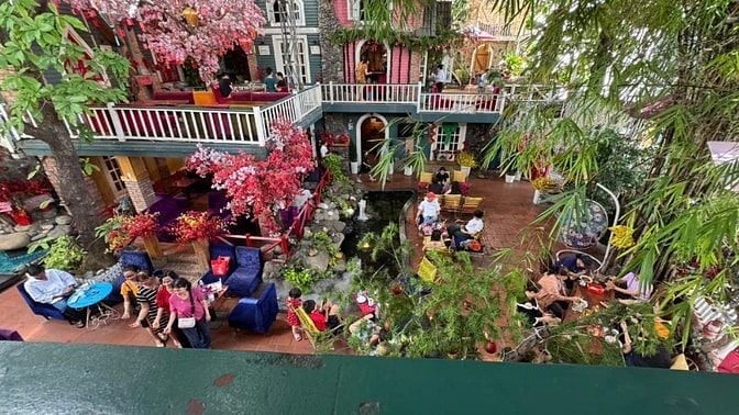 Bán quán CAFE MTKD Nguyễn Ảnh Thủ ngang 24m 3 lầu sân vườn 624m2 48 tỷ