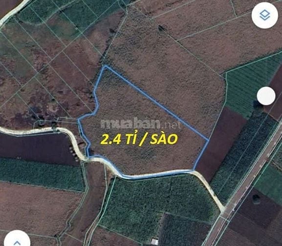 Bán đất 7390 m2 CHÍNH CHỦ - LÁNG DÀI - BÀ RỊA VŨNG TÀU