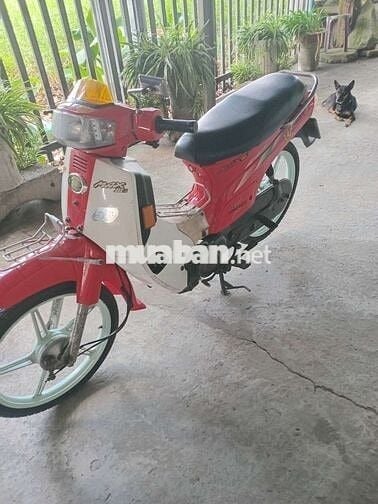 Max 50cc( đã sử dụng học sinh đi ), 2010, Đỏ Trắng