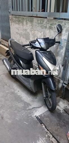 Xe như hình