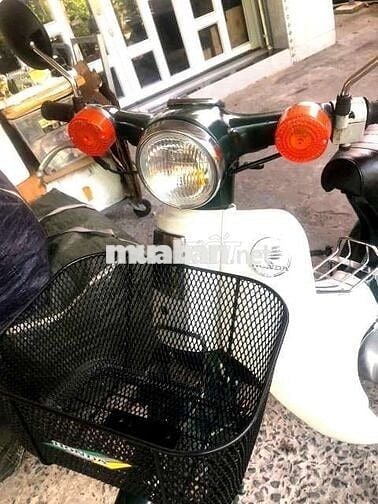 --- Cúp Nhật  81 màu xanh vỏ dưa rất đẹp