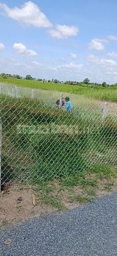 BÁN LÔ ĐẤT THỔ CƯ+ĐẤT TRỒNG CÂY LÂU NĂM CHÍNH CHỦ