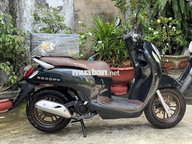SCOOPY 10/2024 odo 5 ngàn cây 9 chủ ký liền