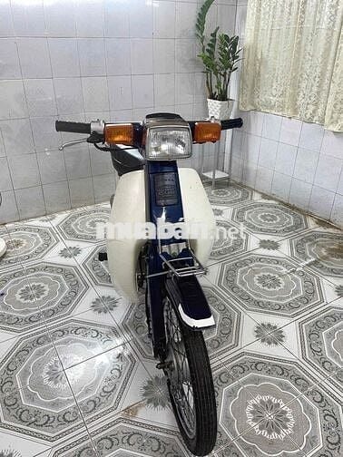 Xe cub 82
