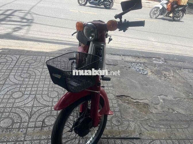 HonDa-cub