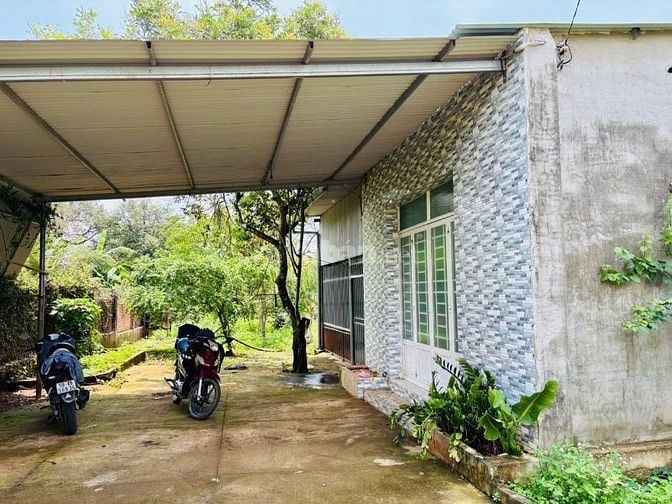 NHÀ VƯỜN GẦN DẦU GIÂY, TP. LONG KHÁNH, NGAY MẶT TIỀN ĐƯỜNG 770B