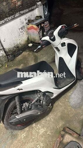 Sh 125 2019 chính chủ