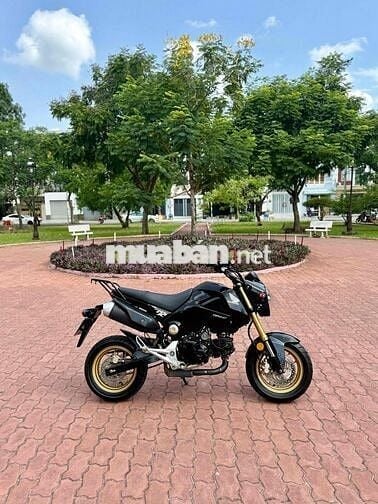 Moto Mini Honda Msx 125cc - Bstp