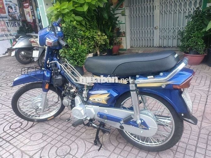 DRAEM LONCIN đơn mới xanh cendi