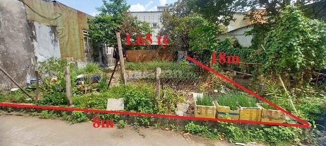 Chủ cần bán đất (8x18 1.65 tỷ) ngay Tân Xuân Hóc Môn Sang tên ngay