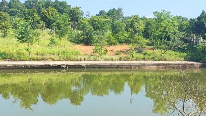 Đất view hồ tại Cổ Đông, Sơn Tây, Hà Nội