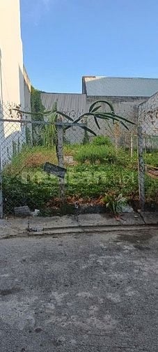 Bán đất Nguyễn Văn Tạo Nhà bè dtich 100m giá 1,9 ty 