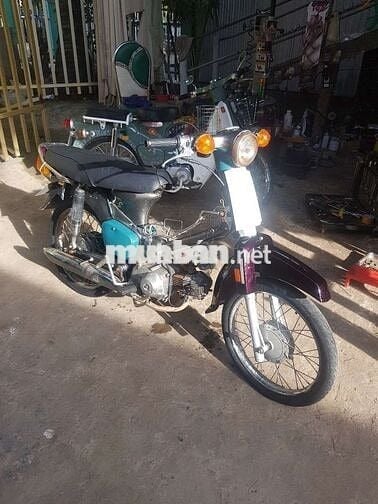 Xe cub đi ruộng