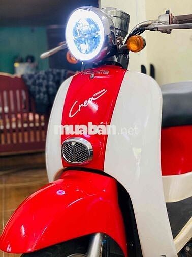 Scoopy Crea 50cc đời cao 2022 đèn led